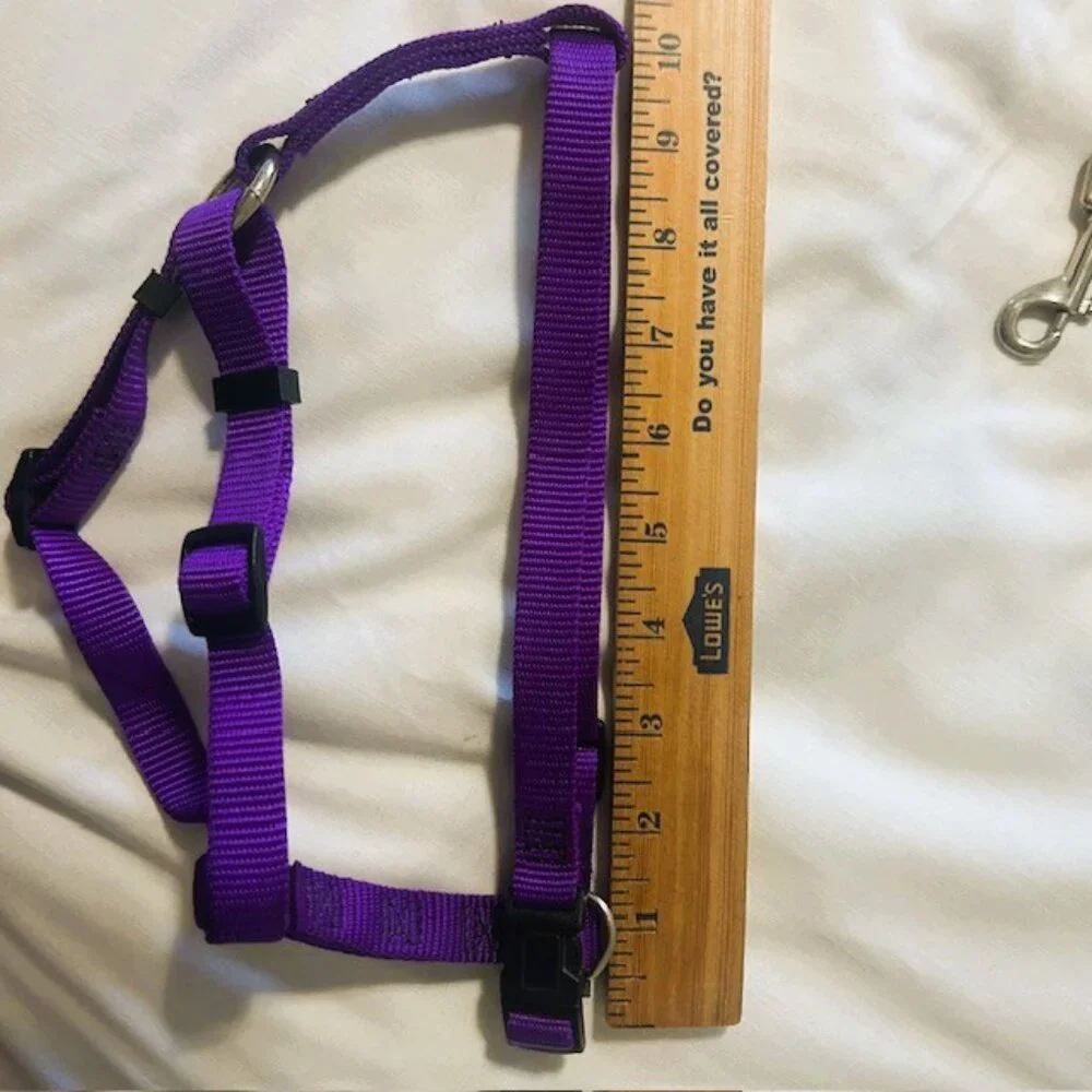 Dog Harness and Leash Unbranded Purple Medium Adjustable